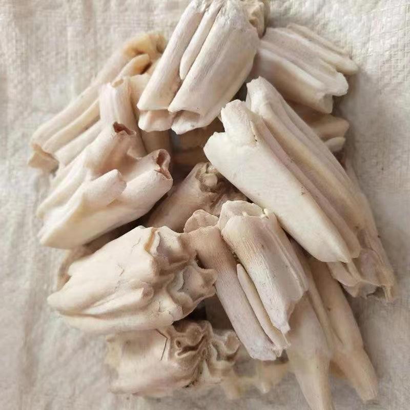龙齿 正品大龙齿中药材沙漠化石白龙齿 龙牙 另售青龙齿 可磨