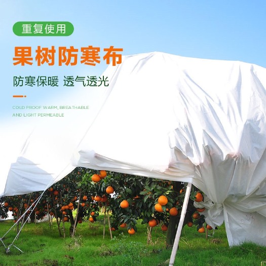 桐城市果树防寒布防冻布柑橘防霜布冬季保暖篷布果园农用防水透气保温罩