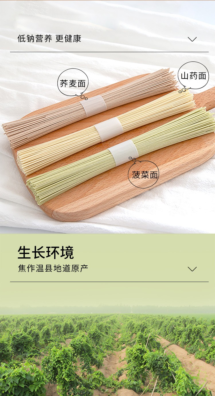 秦建国  焦作温县铁棍山药面挂面细面儿童辅食杂粮挂面400g