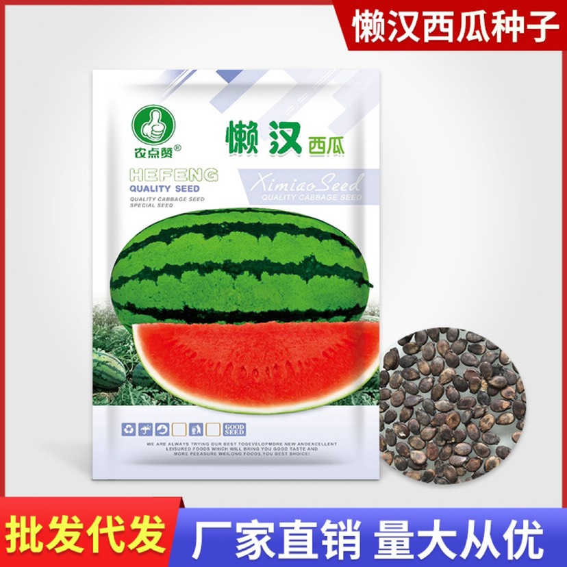 祁东县懒汉西瓜种子单瓜重20公斤左右中晚熟品种