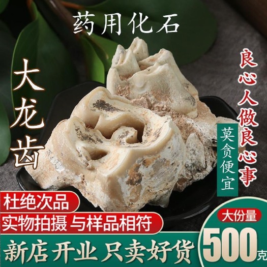 亳州龙齿 正品大龙齿中药材沙漠化石白龙齿 龙牙 另售青龙齿 可磨