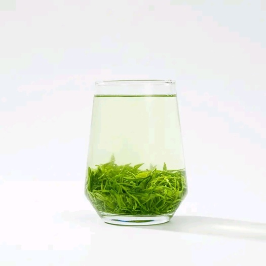 信阳信阳毛尖原产地雨前茶