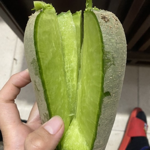 潍坊自家种植瓜茬水果萝卜