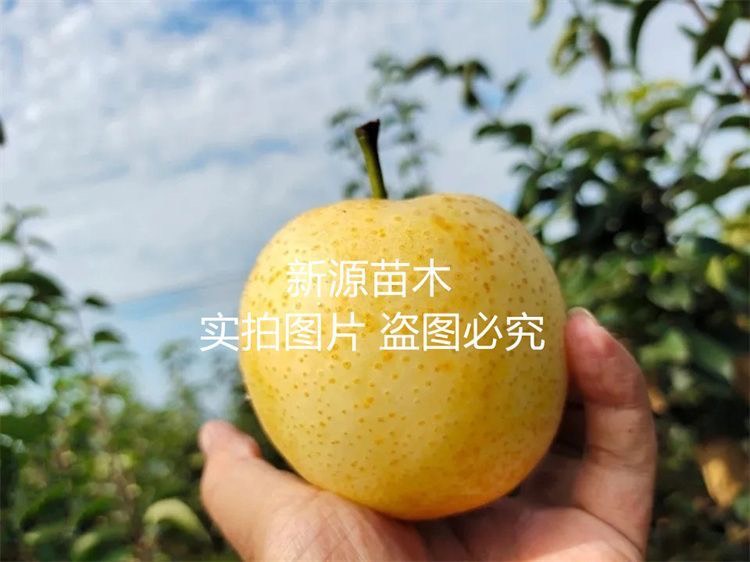 ƽػƽ޽Ʒְṩָǩַͬ