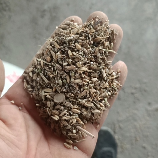 慈溪市糠