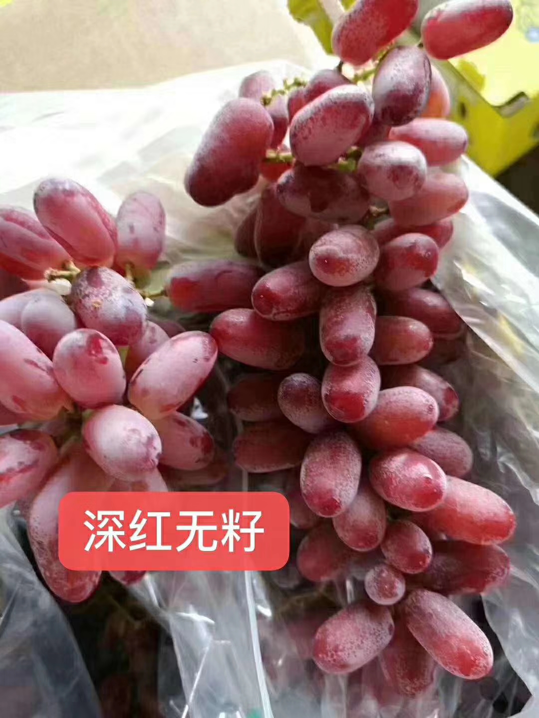 卢龙县深红无籽葡萄苗，自然无核，大长粒，脆甜多汁，耐储运，耐树挂