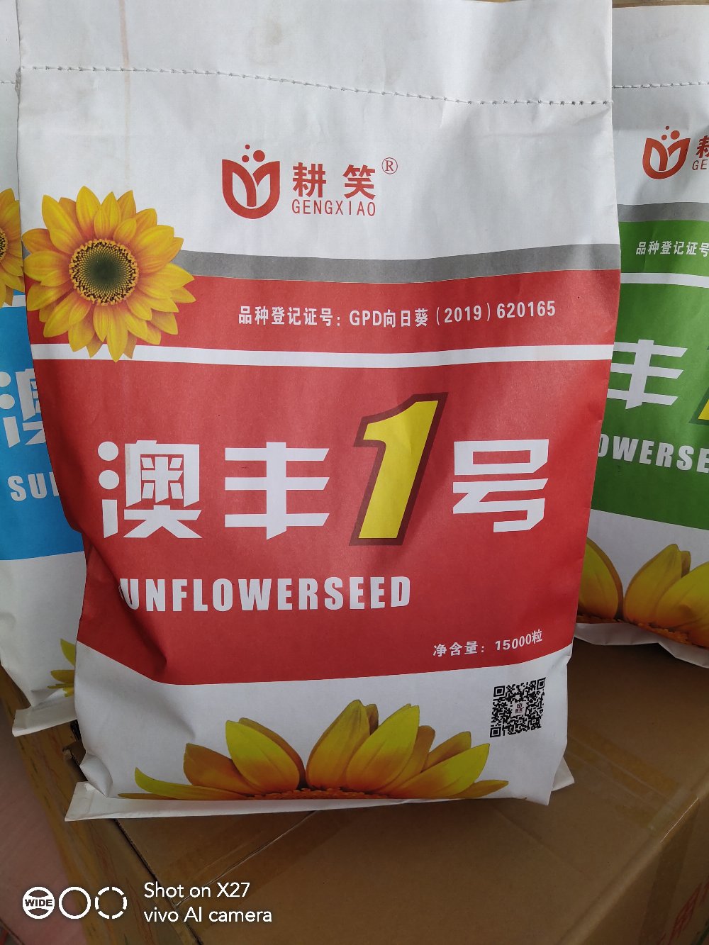 夏邑县澳丰1号，361向日葵种子厂家批发，长粒型高品质食葵种子