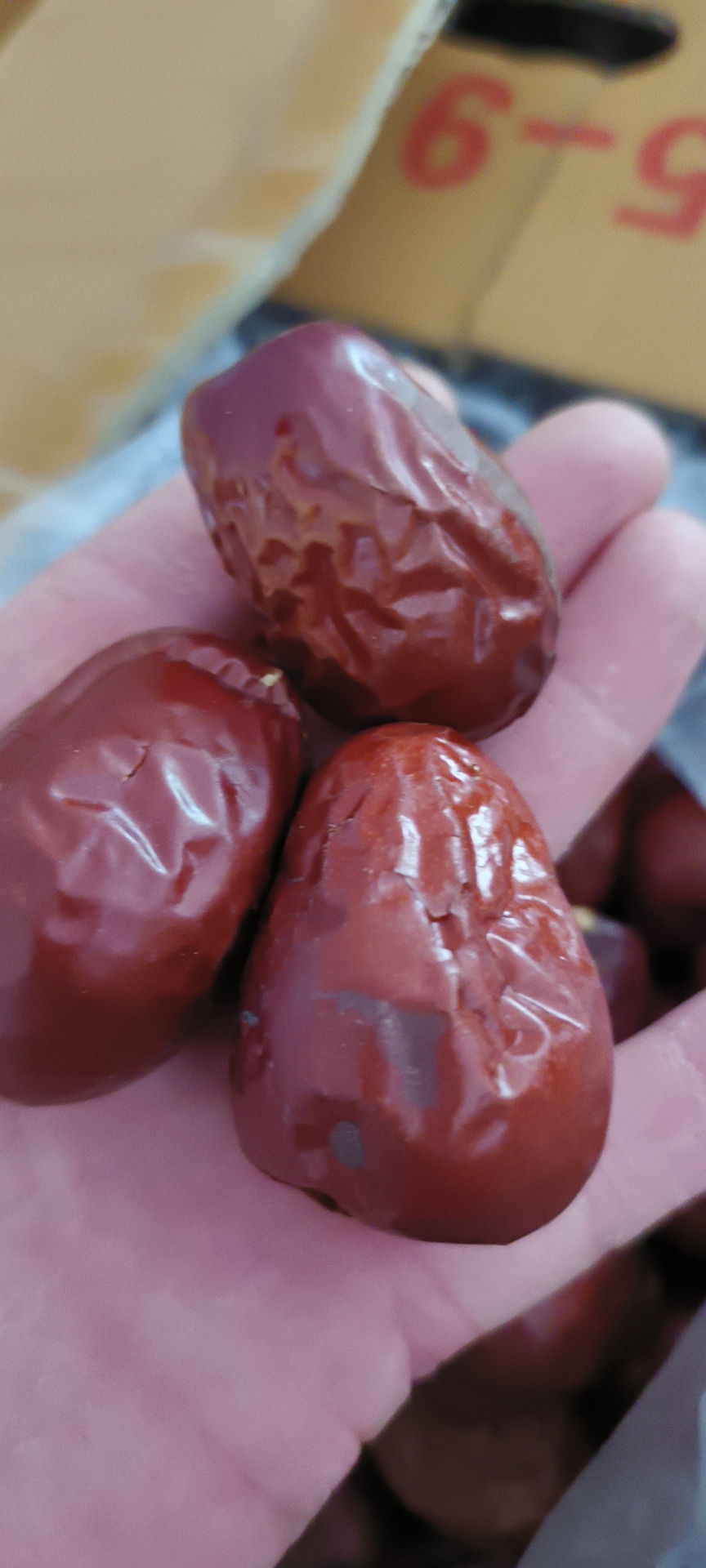 每日更新崔尔庄红枣价格 watermark,image_d20ucG5nP3gtdG9zLXByb2Nlc3M9aW1hZ2UvcmVzaXplLFBfMzA=,g_se,x_10,y_10