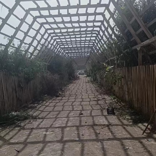 新疆 70亩土地耕地 转让100平米库房 1000平米羊圈