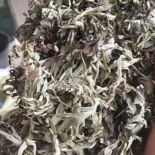 献县纯艾叶，小叶纯艾叶