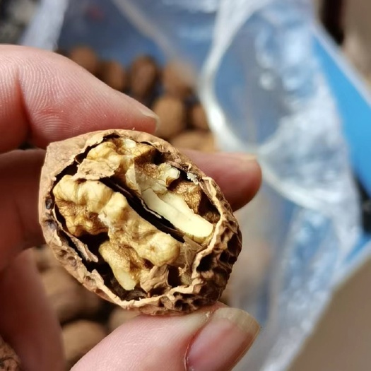 武汉薄皮核桃