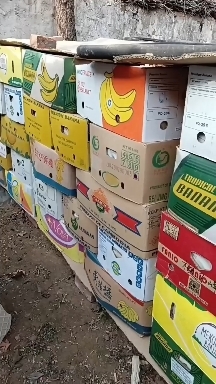 遵化市自家种植磨盘大柿子产地直发货源充足欢迎大家前来选购