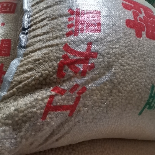 淮南东北豆