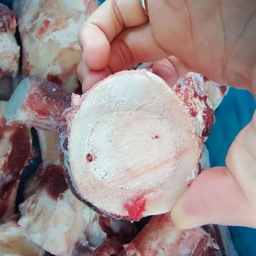 锡林浩特肉大牛腿骨，超级好，大量有货