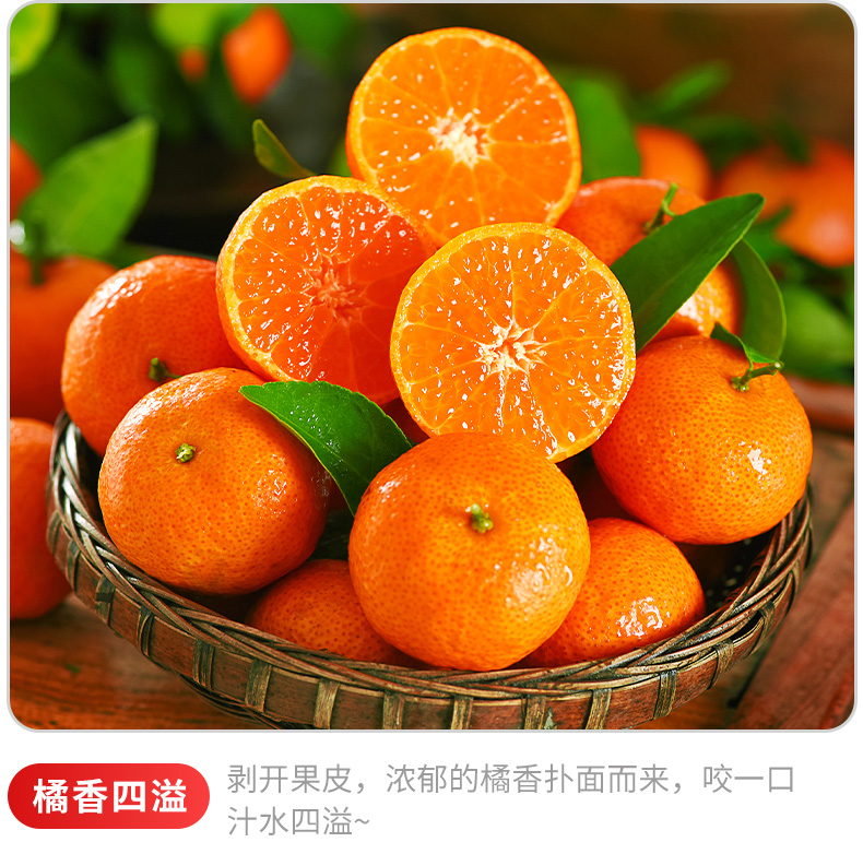 贵港广西砂糖橘 优质品种砂糖橘 广西柑橘 富硒桔子