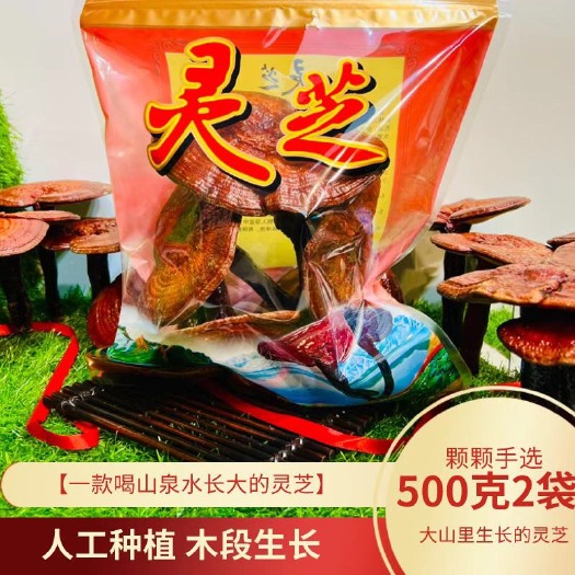抚松县秋冬礼品 长白山特产赤灵芝长柄灵芝整枝灵芝红灵芝500克2袋