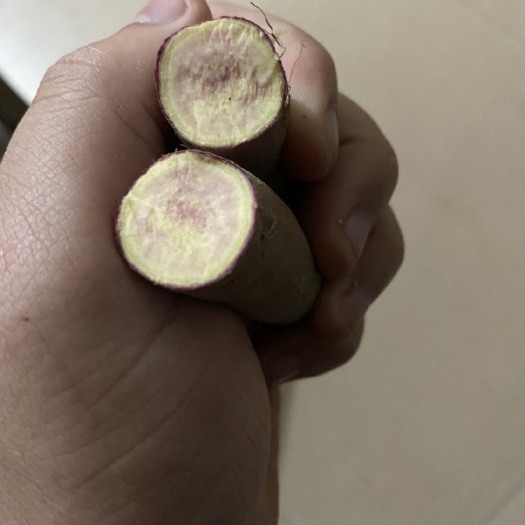 遂溪县一点红，大量出货
