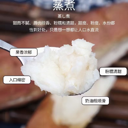 哈密蜜薯