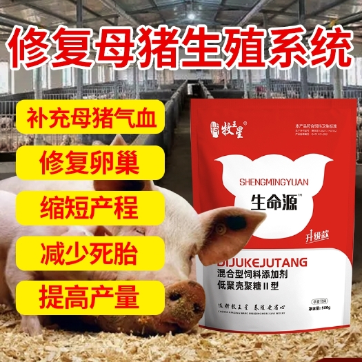 郑州牧王星生命源母猪补气血调理生殖系统脐带粗壮