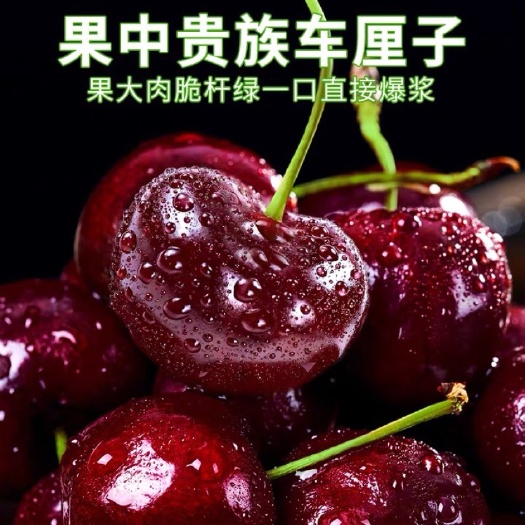 上海现货大樱桃新鲜水果5斤大连美早车厘子顺丰整箱包邮当季应季5斤