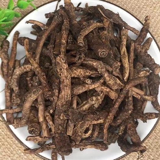 亳州胡黄连