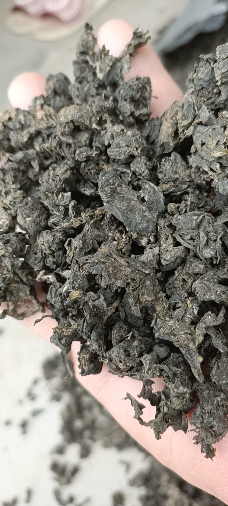 ：毛货：干净过筛，泡发十足