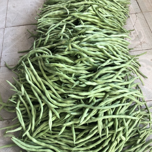 黑山县豆王少量有货