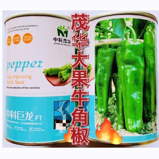 沭阳县特大牛角椒种子东方绿龙辣椒种籽青椒特辣四季香辣蔬菜孑早