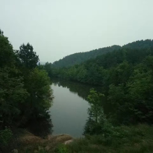 有4000多亩山林地，可养殖和康养，也可以出售，有志者洽淡！