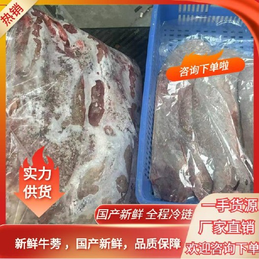 汕头新鲜，牛蒡 ，屠宰场，一手货源！厂家直销