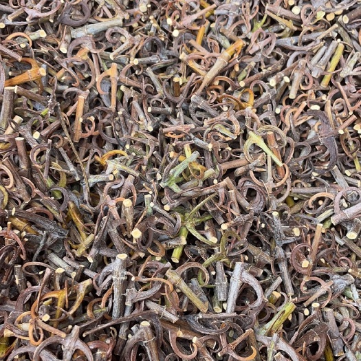 黎平县贵州产地沟腾