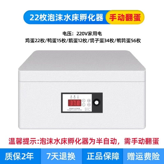 平阳县水床孵化器加德系受精蛋36枚