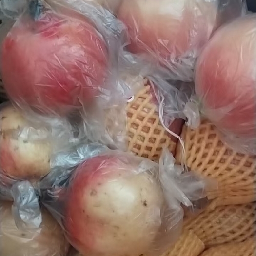 西安甜石榴