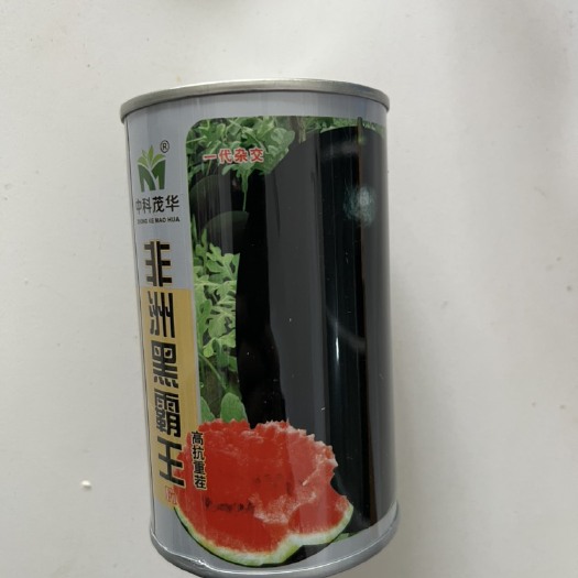 华容县中科茂华瓜果种子非洲黑霸王西瓜种子黑皮红瓤抗病抗重茬大果