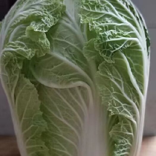 大荔县黄心大白菜