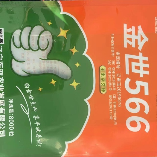 通辽金世566玉米杂交种