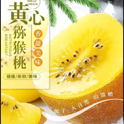 南阳工作