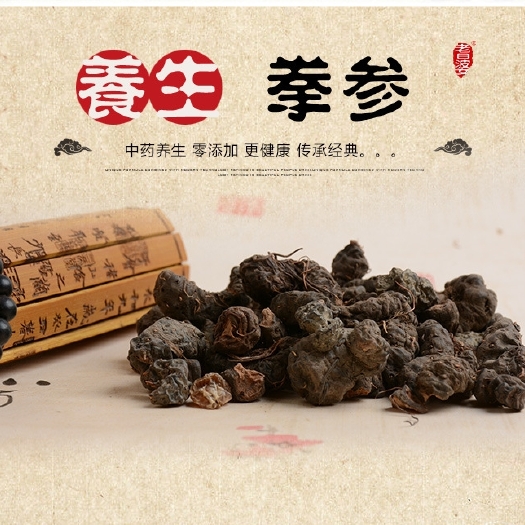 烟台拳参种子