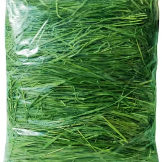 岷县24年新烘干提摩西草北提归乡提兔子,龙猫,豚鼠,荷兰猪的主粮