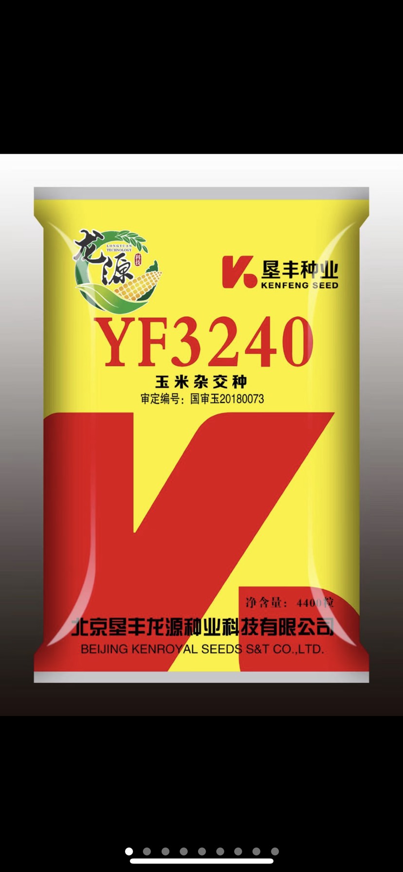 沈阳双国审YF3240玉米种子  密植产量高抗性强