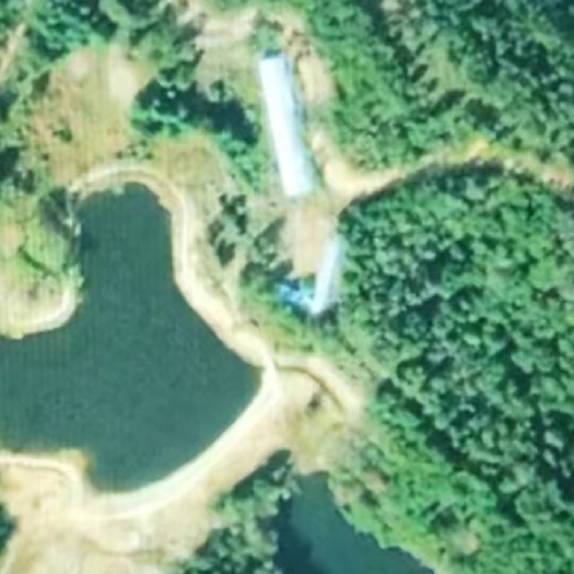 麻城市有4000多亩山林地，可养殖和康养，也可以出售，有志者恰谈！