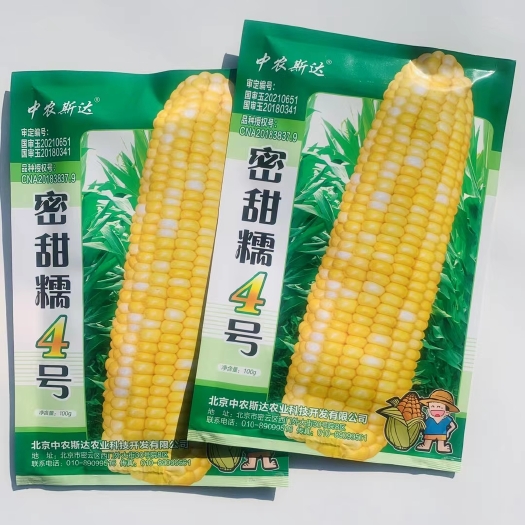 沭阳县甜糯玉米种子100克装蜜甜糯4号包邮国审品种包邮