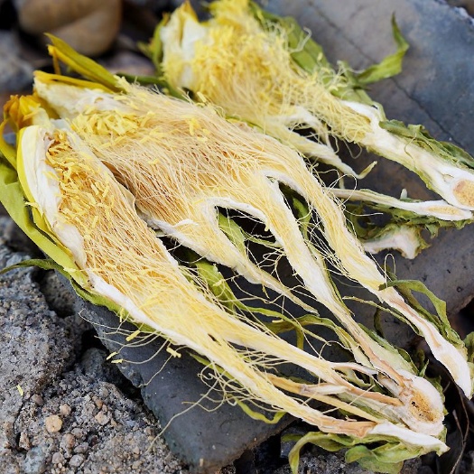 霸王花干货新货农家自产剑花昙花煲汤料广东土特产批发