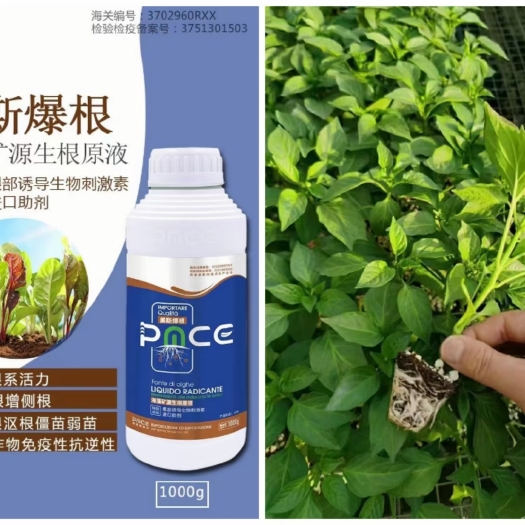 新郑市美斯爆根
