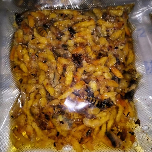 保山胡蜂蛹  油炸蜂蛹
