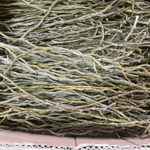 昆明铁皮石斛干条批发一手货源