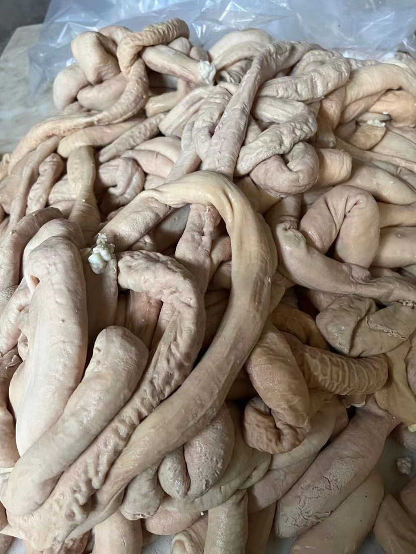 牛圆肠