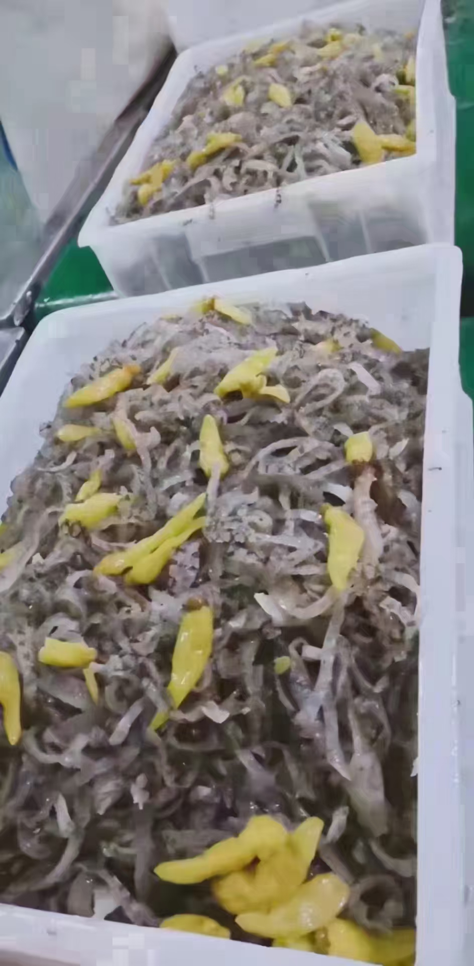鱼皮