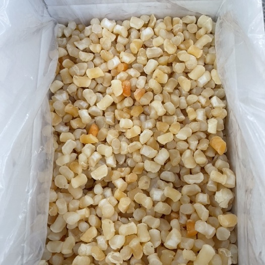 日照干贝，