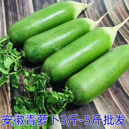 南通安徽阜阳水果罗卜批发零售货源充足
